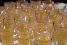 Shot Bärenfänger auf Burg Lockenhaus