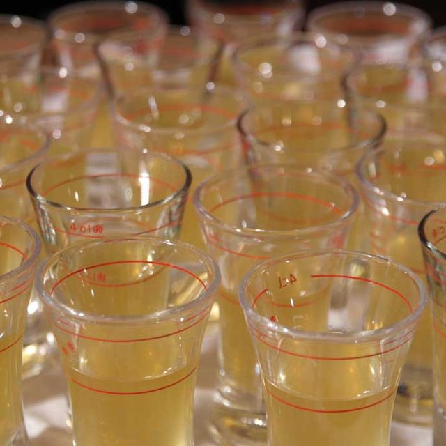 Shot Bärenfänger auf Burg Lockenhaus